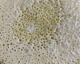 Foto langkah ke 5 dari resep Martabak Manis Teflon Anti Gagal.