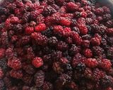 عکس مرحله 1 از دستور مربای شاتوت