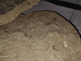 Pan de masa madre!!