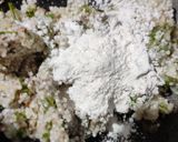 A picture of step 1 of Sabhudana kabab.