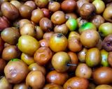 A picture of step 1 of Ber / Jujube pickle.