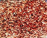 तिल के लड्डू Til ke laddu रेसिपी चरण 1 फोटो