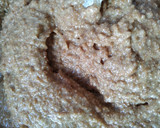 Foto del paso 3 de la receta: Budín integral de manzana 🍎