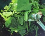 Foto langkah ke 2 dari resep Tumis Genjer Cumi Asin.