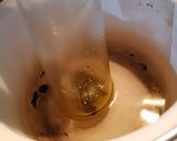 Foto del paso 2 de la receta: Aceite de menta