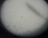 A picture of step 2 of Karachi halwa.