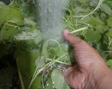 Foto langkah ke 1 dari resep Bening Bayam Jagung.