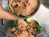 Mousse de Atún con Cilantro