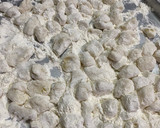 Foto del paso 5 de la receta: Ñoquis de papa