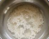 Syrian Rice Pudding recipe step 1 photo