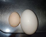 Foto langkah ke 1 dari resep Dadar Telur Angsa.