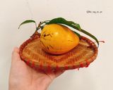 Hình bước làm 3 của món Bánh bao thịt
