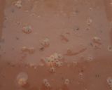 Foto langkah ke 2 dari resep Puding Coklat Marie Keju.