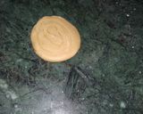 A picture of step 2 of Lachha Paratha Egg Roll.