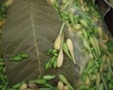 Foto langkah ke 1 dari resep Garo Bunga Pepaya #Pr_marassamanenge.