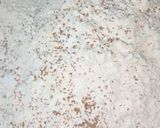 अजवाइन पूरी(ajwain ki puri recipe in hindi) रेसिपी चरण 1 फोटो