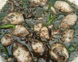 Foto langkah ke 4 dari resep Sego Meduro.