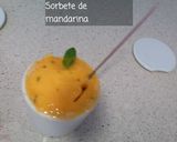 Foto del paso 5 de la receta Sorbete de Mandarina sin Azúcar de Paufeel