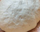 Foto del paso 2 de la receta: Pre-Pizzas