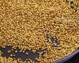 A picture of step 2 of Sambhar powder masala (South Indian recipe).