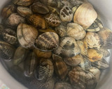 Foto del paso 1 de la receta: Almejas a la "mimanera"