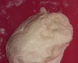 Foto del paso 3 de la receta: Pan lactal caserito