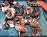 Foto del passaggio 7 della ricetta Polpo Croccante alla Piastra con Fave e Cicorietta