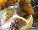 Foto del paso 2 de la receta: Batido de pepino naranja y chía