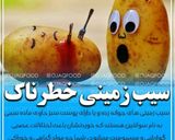 عکس مرحله 1 از دستور خرید سیب زمینی