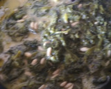 Foto del paso 3 de la receta: Revuelto de grelos con piñones y pasas