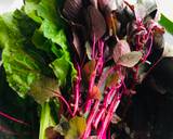 Lal Saag baji recipe step 1 photo