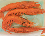 Foto del paso 4 de la receta: Arroz meloso de Carabineros