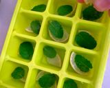 Foto langkah ke 2 dari resep Lemon Mint Iced Cubes Coffee.