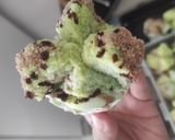 Foto langkah ke 4 dari resep Bolukukusantigagal.