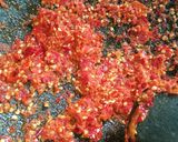 Foto langkah ke 3 dari resep Orek teri kacang / sambal teri kacang #8.