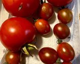 Une image de l'étape 1 de Tomates 🍅 Mozzarella sanfaso.