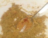 Foto del paso 2 de la receta: Hamburguesas de arvejas