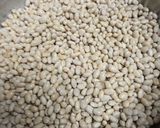 A picture of step 1 of Navy Beans 2024.