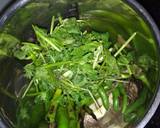 Tomato Green Chillies Thecha recipe step 5 photo
