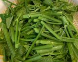 Hình bước làm 1 của món Đọt Su Luộc Chấm Kho Quẹt Chay