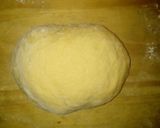 Foto del paso 3 de la receta: Capeletinis de jamón y queso