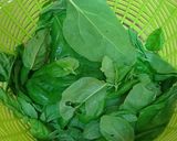 Foto del paso 1 de la receta: Salsa Pesto