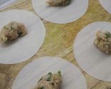Foto langkah ke 3 dari resep Chicken Gyoza.