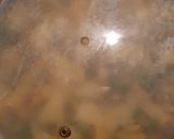 A picture of step 4 of Aloo ki katlian (aloo Bhujia).