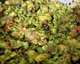 A picture of step 14 of Nimona.