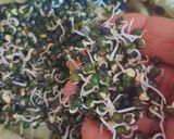 A picture of step 2 of Sprouted Black Mung Bean Poha.