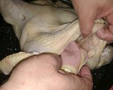 Foto del paso 4 de la receta: Pollo relleno