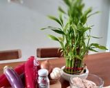 Foto langkah ke 3 dari resep Grilled Capsicum with Chicken Mince.