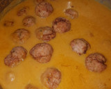Foto del paso 15 de la receta: Albóndigas de pavo con manzana