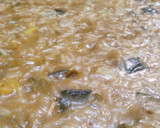 Foto del paso 10 de la receta: Risotto con zuchinne (risotto de calabacín)